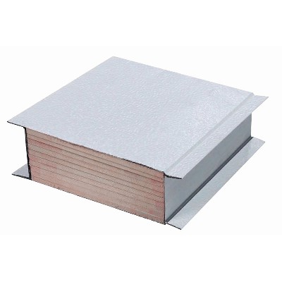 Phenolic resin sandwich panel